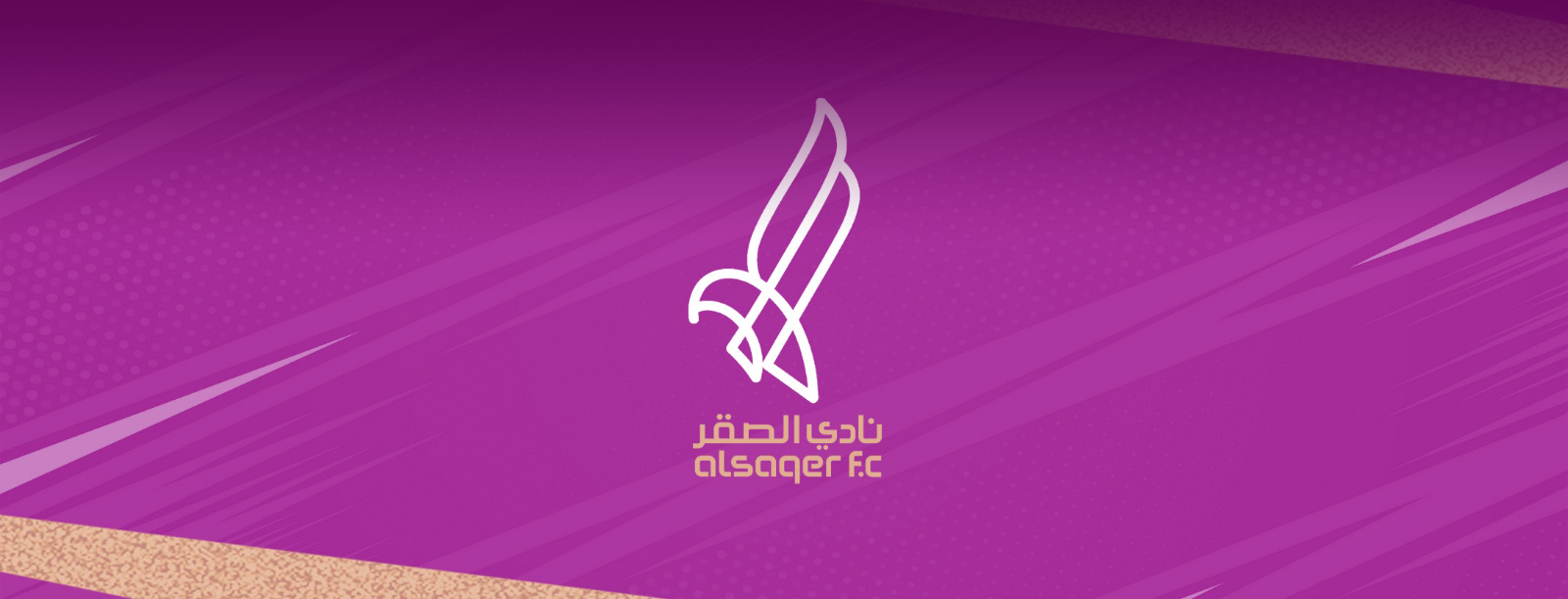 المباراة القادمة